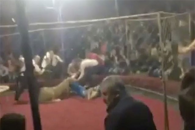 Clip: Kinh hãi cảnh bé gái 4 tuổi bị sư tử vồ trong rạp xiếc ở Nga
