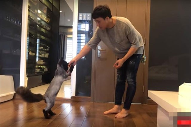 Clip: Hari Won quay phim, Trấn Thành huấn luyện mèo cưng diễn xiếc thú 