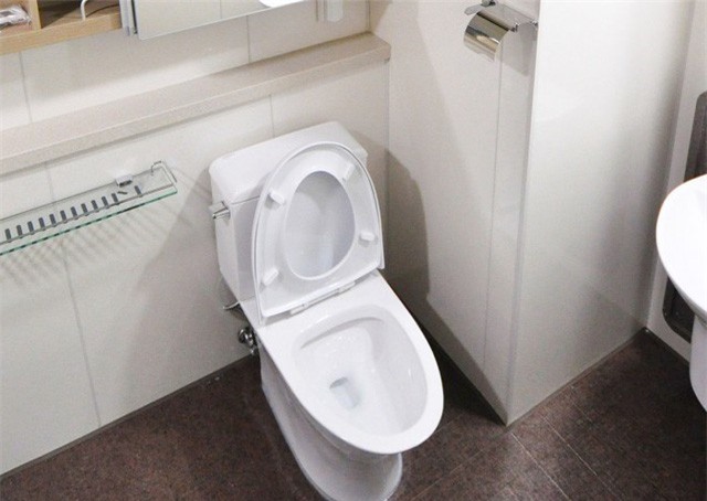 Sốc: Nữ sinh trung học vứt bỏ con mới đẻ vào toilet sân bay