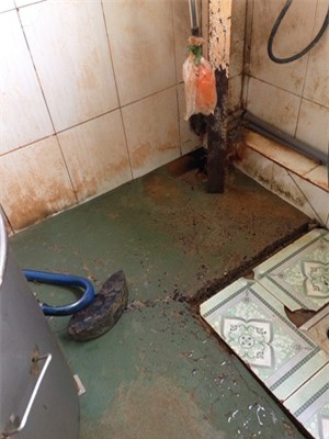 Vụ ngộ độc 55 người ở TP.HCM: Phạt 84 triệu đồng Công ty Đồng Tiến