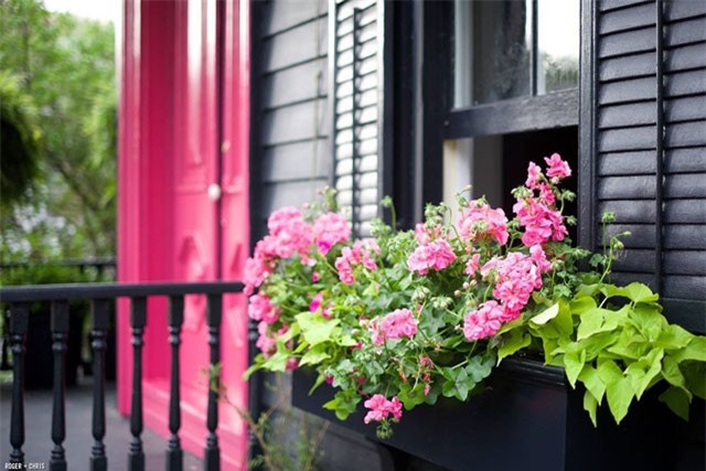 Đại gia Sài Gòn choáng khi biết sự thật về người tình