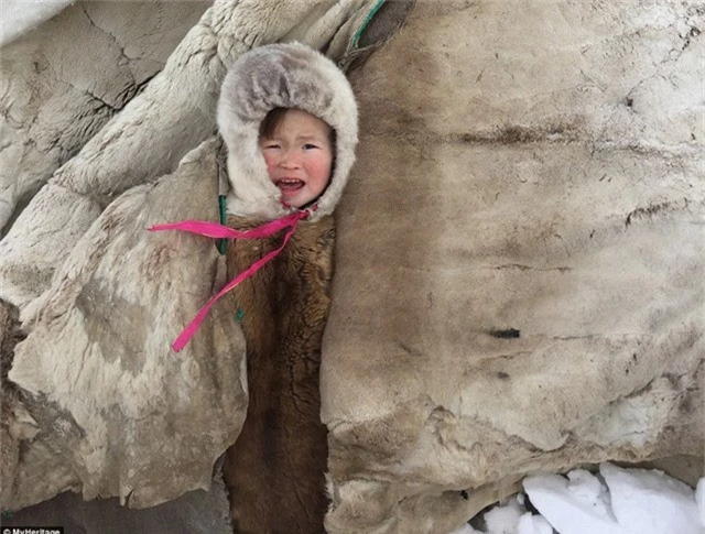 Một em bé bộ tộc người Nenets được trùm kín trong áo lông dày