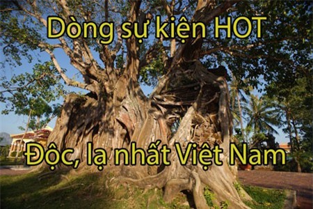 Stephanie Norman nói cô yêu công việc này dù nó cũng khiến cô nhiều lần rơi vào tình huống khó xử.
