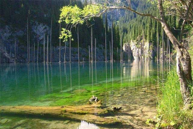 Những điều kỳ lạ đến kinh ngạc có trong giới tự nhiên