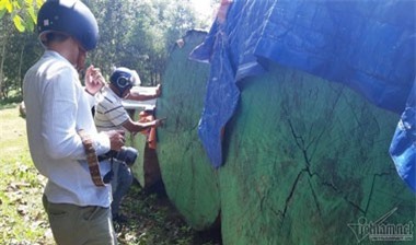 Cổng biệt phủ trăm tỷ xây trái phép của đại gia vàng la liệt gỗ quý