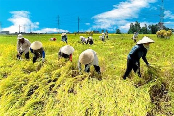 Ản minh họa. Ản minh họa.