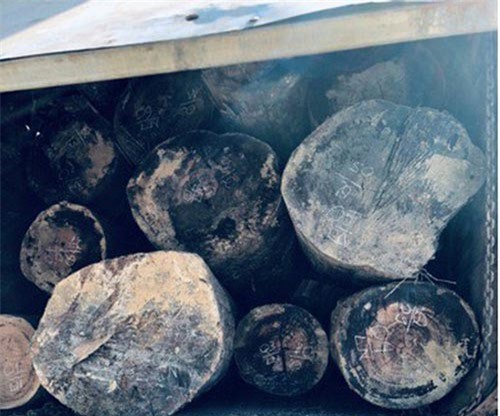 Phục kích bắt 3 xe tải chở hơn 40 khối gỗ lậu bằng sà lan trên bến Sê San
