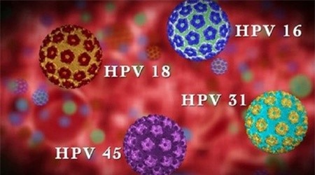 Cánh mày râu cần đối phó với 'virus phụ nữ' thế nào?