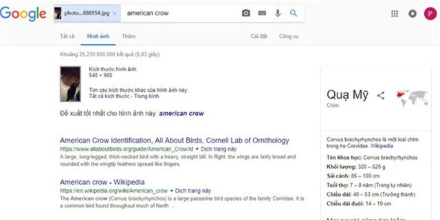 Ngay cả Google cũng nhầm lẫn về hình ảnh “con quạ đen”