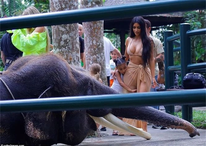 Kim Kardashian diện bikini cưỡi voi ở Bali - ảnh 5