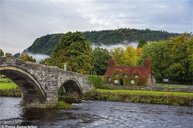 Mùa thu biến vùng Llanrwst, bắc xứ Wales mơ màng như chốn cổ tích.