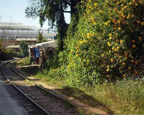 Giải mã nhà ga cổ có sức sống mãnh liệt nhất Đà Lạt