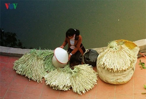Gần 400 năm có nghề làm nón lá, làng Chuông thuộc địa phận xã Phương Trung, huyện Thanh Oai, Hà Nội nức tiếng khắp kinh kỳ bởi những chiếc nón lá đẹp và tinh tế khó nơi nào sánh kịp.
