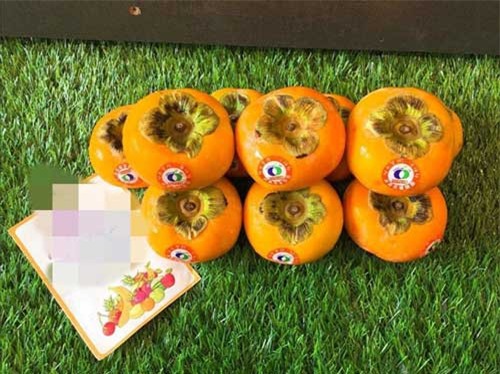 Bỏ hơn 100.000 đồng mua một quả hồng giòn Hàn Quốc