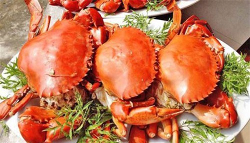 6 loại thức ăn để qua đêm gây hại cho sức khỏe, thậm chí ung thư