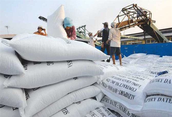 Xuất khẩu gạo giảm về giá trị lẫn số lượng.