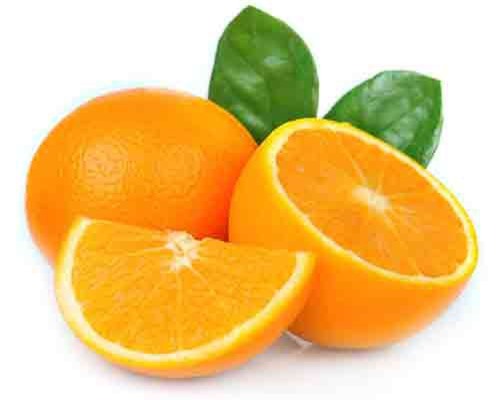 Những thực phẩm đừng bao giờ cho vào tủ lạnh