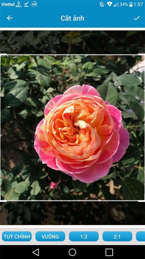 Ứng dụng tạo hiệu ứng mờ phông ảnh không thua gì máy ảnh chuyên nghiệp