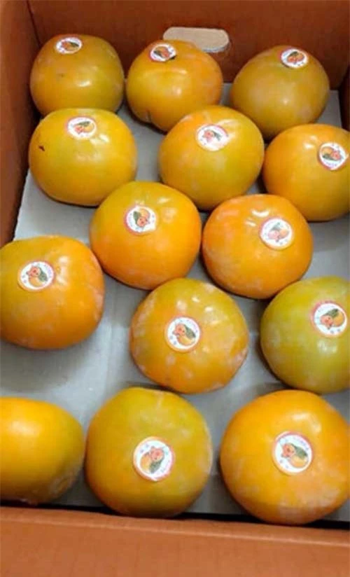 Với giá 280.000 đồng/kg, tính ra mỗi quả hồng Hàn Quốc có giá gần 100.000 đồng. Ảnh: Hằng Trần Fruits.