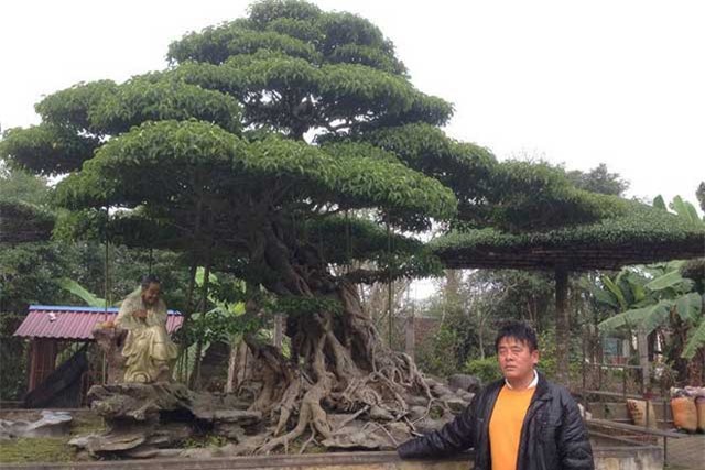 Đại gia Nam Định tiết lộ bí mật khó tin tạo nên 'báu vật' chục tỷ