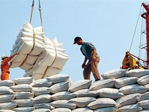 Philipines mời thầu quốc tế 500.000 tấn gạo trắng 25% tấm
