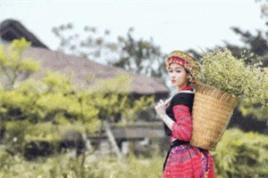 Clip: Ngất ngây với vẻ đẹp thuần khiết của thiếu nữ vùng cao