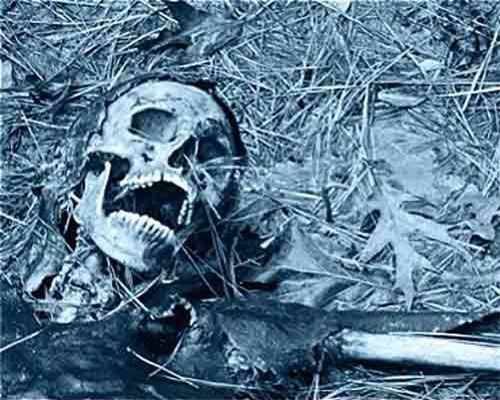 Tiến trình phân hủy của cơ thể người sau khi chết