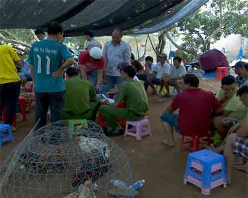 Triệt phá tụ điểm đá gà thu gữi gần 1 tỷ đồng