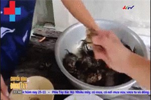 Clip: Ghi nhớ ngay nếu không muốn bị ngộ độc khi ăn cua đồng