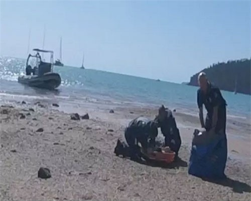 Cá mập tấn công người thứ ba trong 2 tháng ở vùng biển Úc