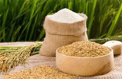 Gạo Việt được bảo hộ toàn cầu.