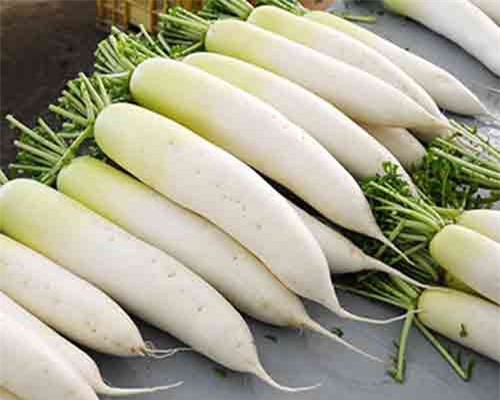 Thuốc trị khó thở do khói xe, khí độc từ củ cải