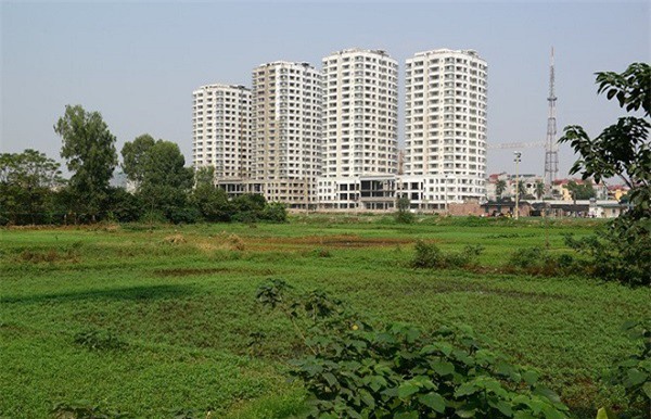 TP.HCM: Kiên quyết thu hồi dự án do doanh nghiệp xí phần không triển khai