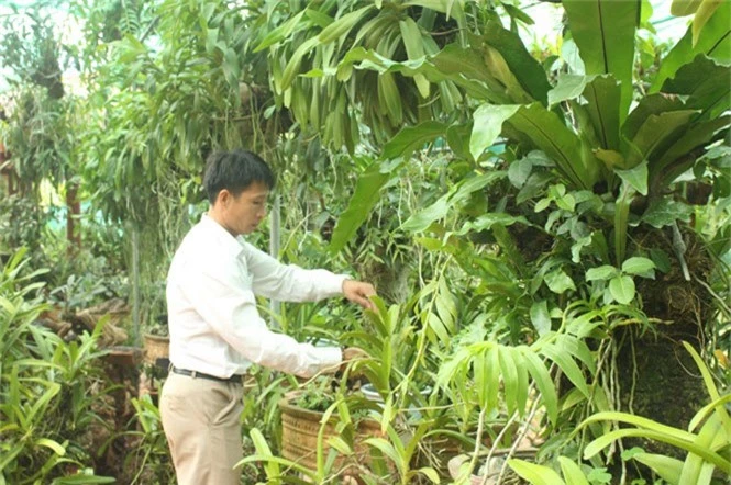 ca lang choi lan rung, vua kiem ra tien lai duoc tieng thom hinh anh 1