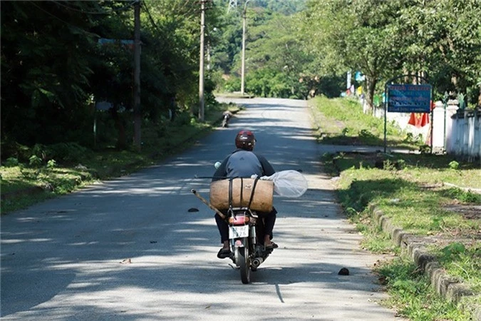 Chuyến hành trình săn ong được bắt đầu từ sáng sớm