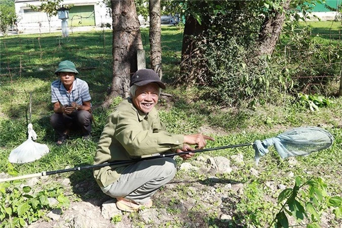 Những “thợ săn” lão luyện đang lắng nghe tiếng bay của ong sứ 