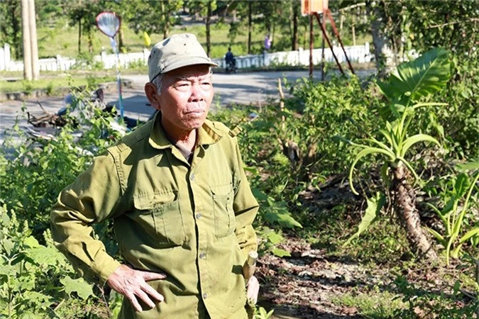 Những “thợ săn” lão luyện đang lắng nghe tiếng bay của ong sứ 