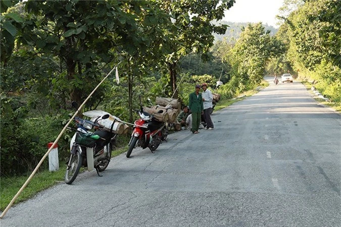 Xác định điểm “hạ trại” có nhiều ong di cư