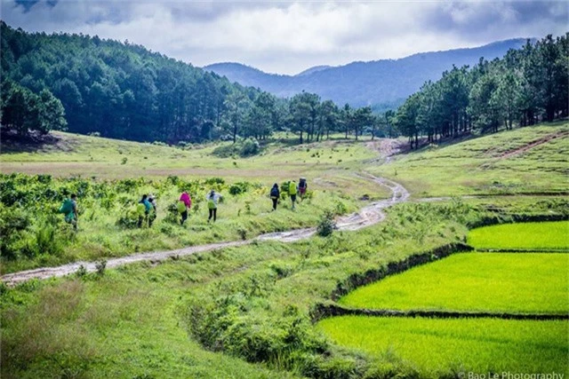 Khung cảnh đẹp nên thơ của Tà Năng - Phan Dũng mùa cỏ xanh