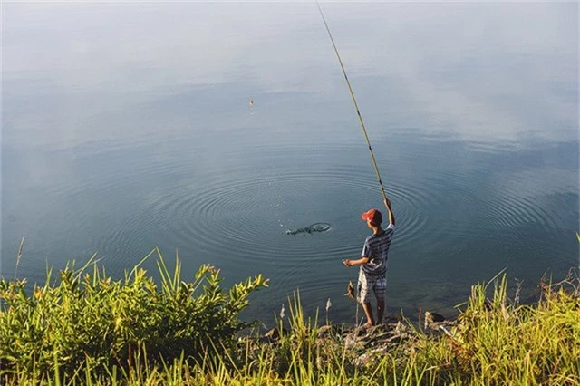 Câu cá cũng là một thú vui khi tham quan hồ Phú Ninh