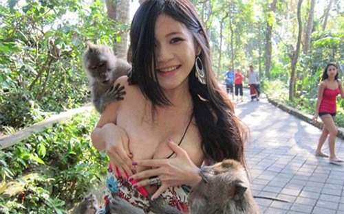 Khoảnh khắc hài hước khi các người đẹp làm việc với động vật