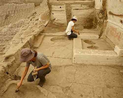 Bất ngờ với thứ con người đã ăn từ 8.000 năm trước