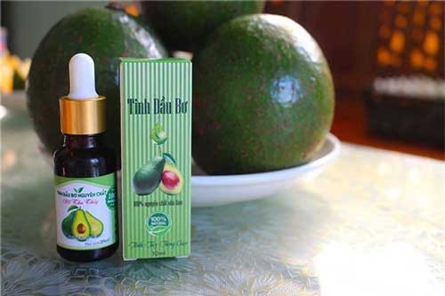 Làm giàu khác người: Đem quả bơ đi nấu dầu, hóa ra lại bán chạy