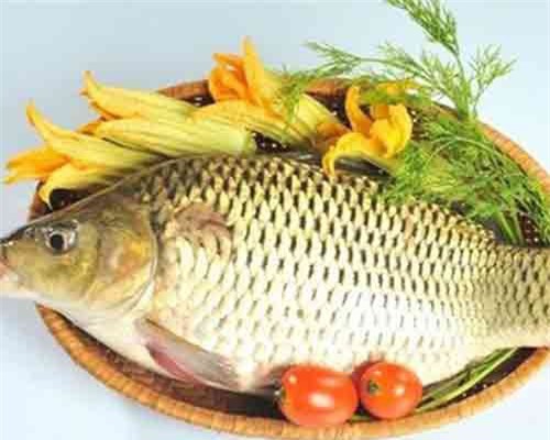 Cách dùng các bộ phận của cá chép chữa bệnh