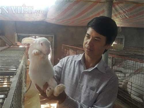 Nam Định: Nuôi cả ngàn thỏ trắng bán cho Nhật, lãi 40 triệu/tháng