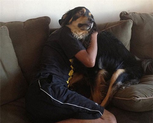 Chùm ảnh trùng hợp hài hước đánh lừa thị giác người xem