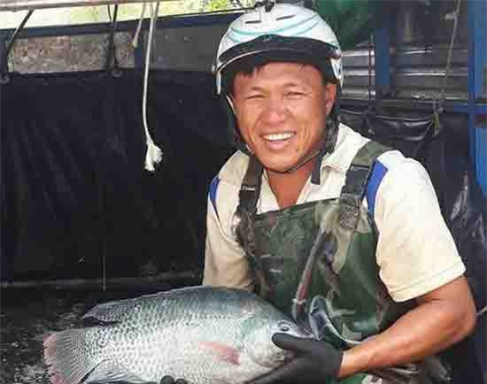 Clip: Thu hơn nửa tỷ đồng/năm nhờ nuôi 3ha ao cá