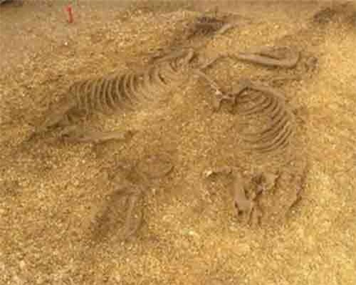 Khai quật nhiều xác người, cỗ xe và ngựa từ 3.500 năm trước