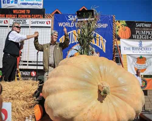 Quả bí ngô mang về cho chủ 353 triệu đồng