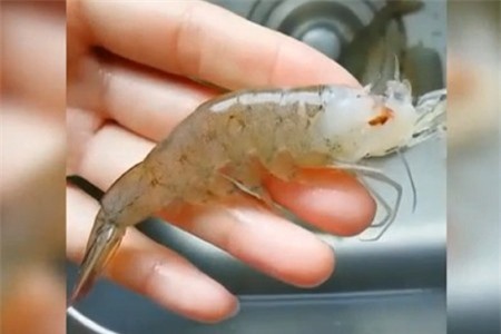 Clip: Mẹo làm sạch tôm trong 'nháy mắt'